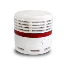 Mini Smoke Detector